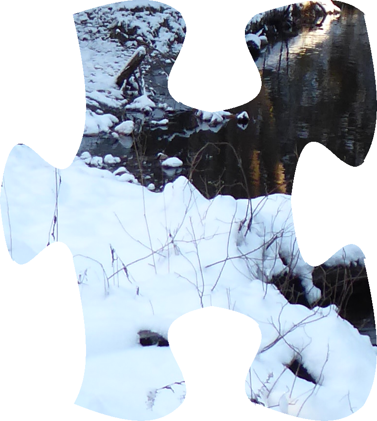 A jigsaw puzzle piece with curved edges. This piece shows a portion of dark water and a bit of snowy ground.