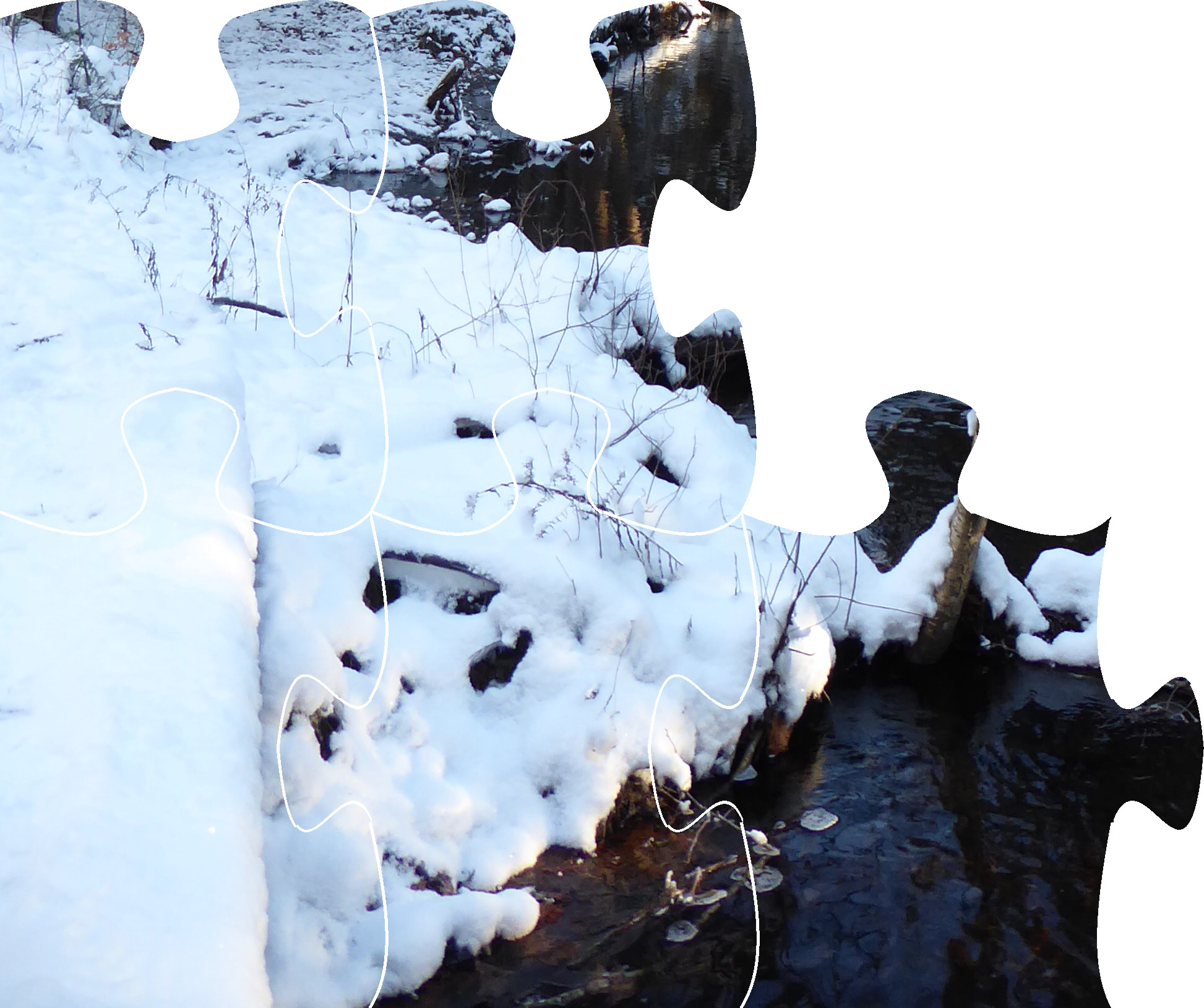 Five jigsaw pieces form the bottom-left section of a puzzle. Dark water and snowy ground suggest that the puzzle represents a calm winter day by a woodland stream
