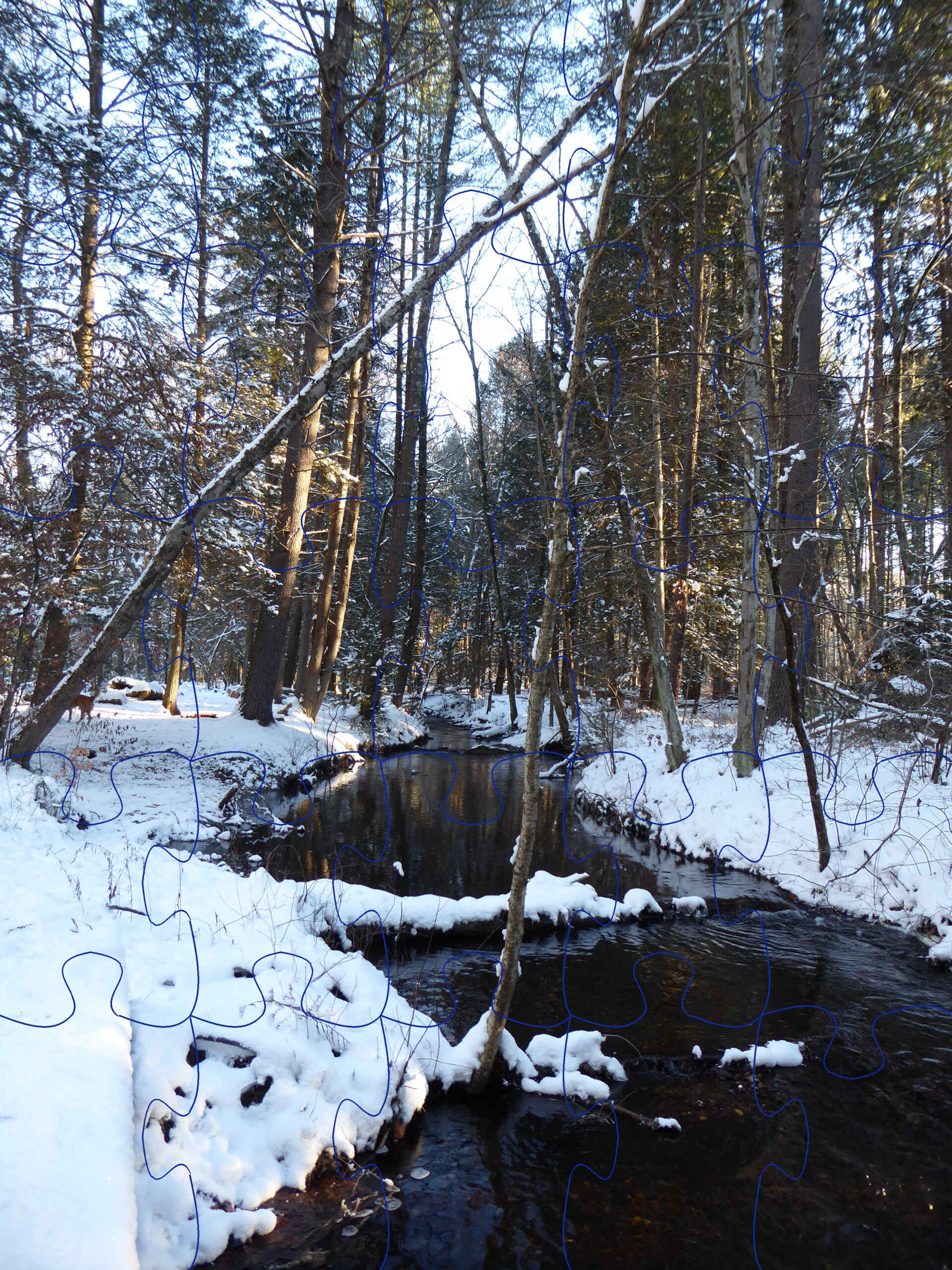 In the completed jigsaw puzzle, a central streak of blue sky stretches nearly down to meet the second bend in the dark stream as it flows gently between the silent, snowy banks.